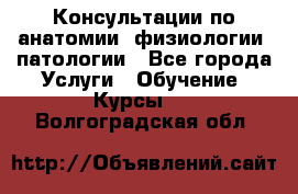 Консультации по анатомии, физиологии, патологии - Все города Услуги » Обучение. Курсы   . Волгоградская обл.